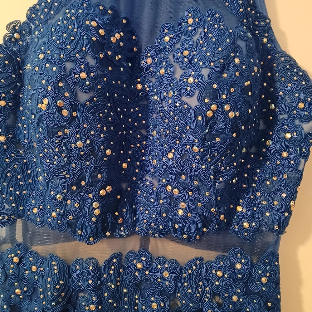 Anny Lee Blue Sequined Lace Wedding Prom Cocktail Evening Gown Dress Small - Picture 14 of 15